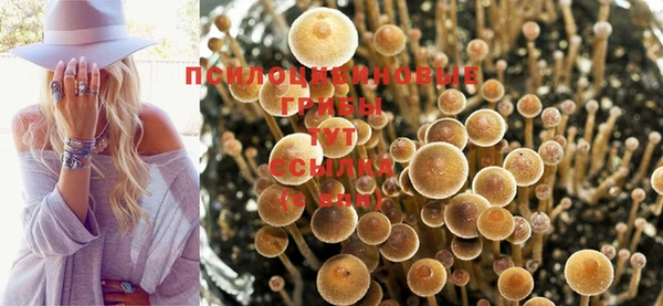 ешки Беломорск