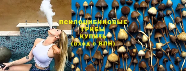 jwh Белокуриха