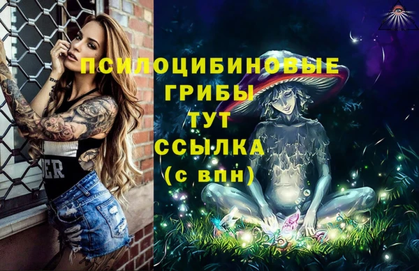 jwh Белокуриха
